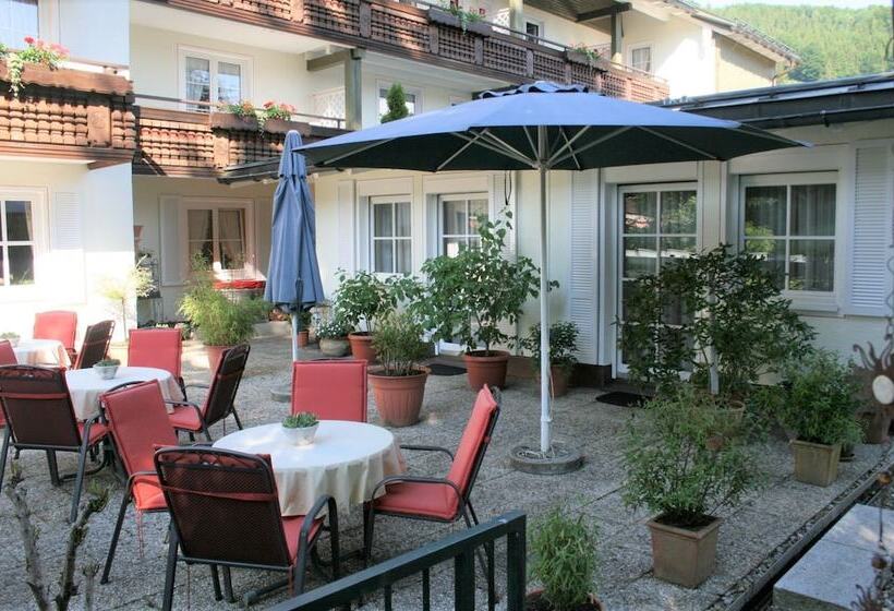 Отель Allgäuer Hof