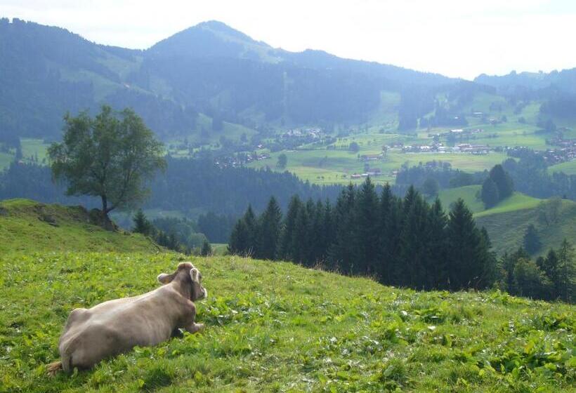 Отель Allgäuer Hof