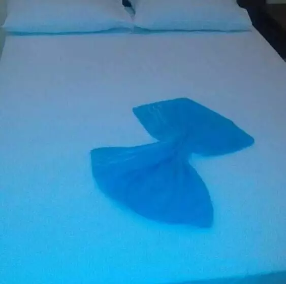 ホテル Bela Vista Piracicaba