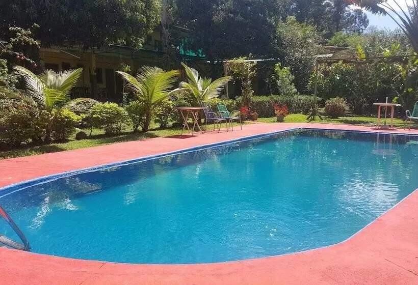 ホテル Residencial Amigos