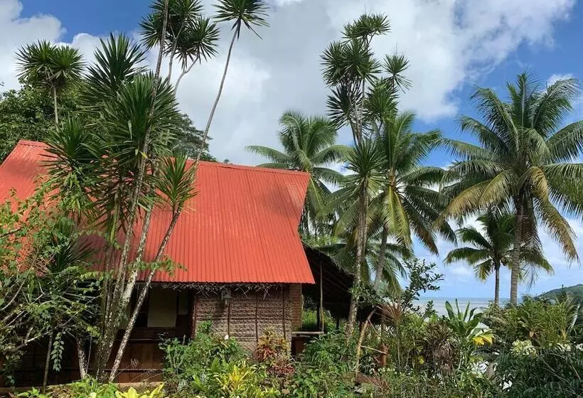 هتل Pension Tupuna