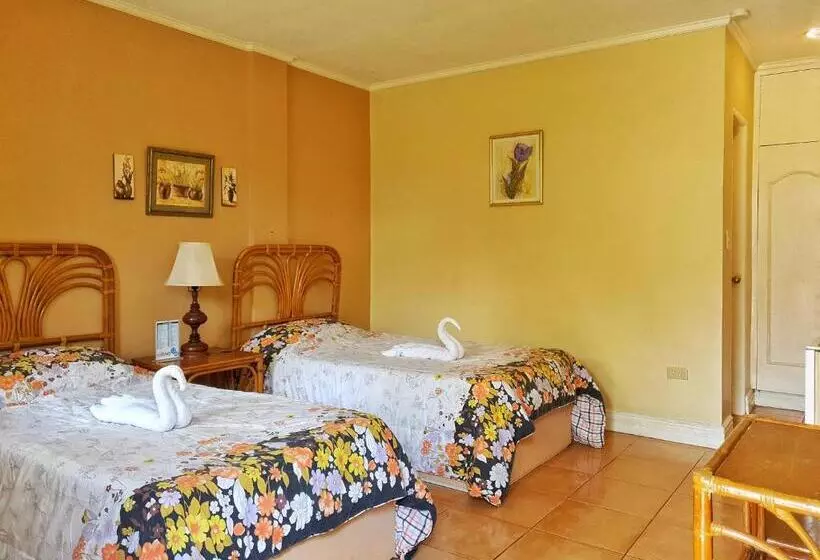 هتل Playa Papagayo Beach Inn
