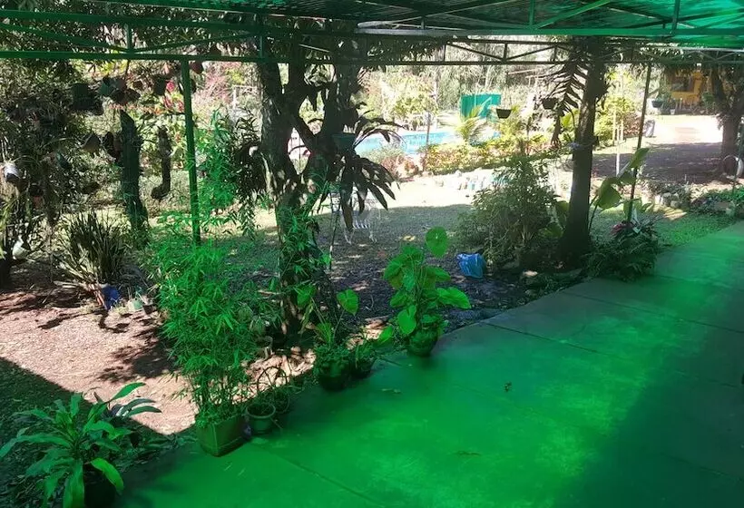 ホテル Residencial Amigos