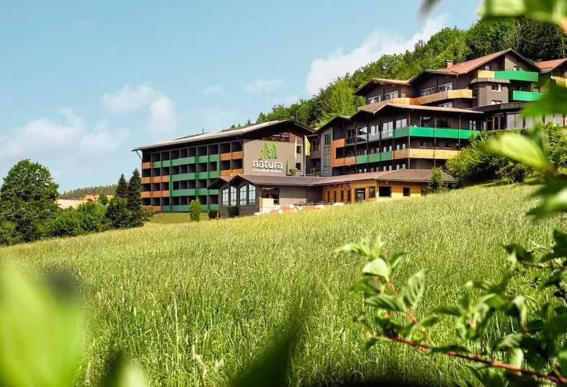 Natura Hotel Bodenmais Inkl Soft Und Heißgetränkeflat