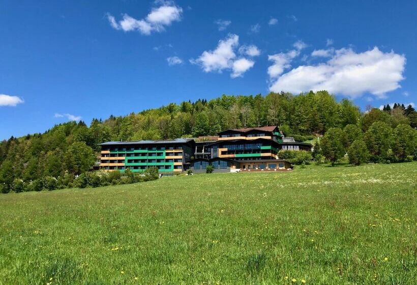 Natura Hotel Bodenmais   Inkl Soft  Und Heißgetränkeflat