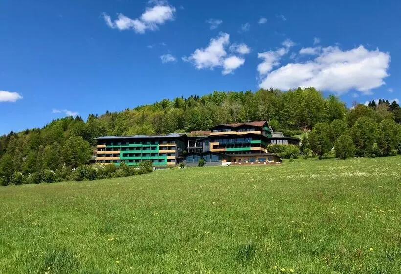 Natura Hotel Bodenmais Inkl Soft Und Heißgetränkeflat