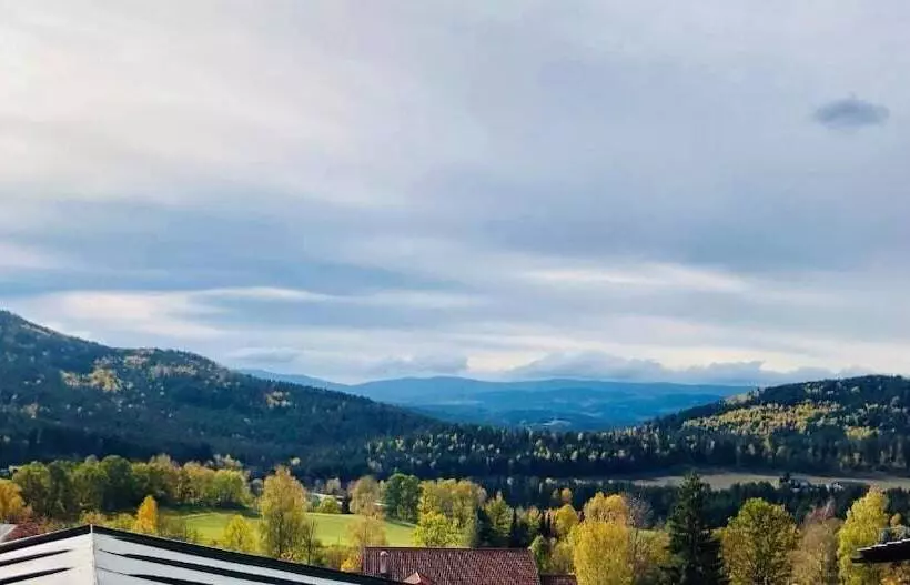 Natura Hotel Bodenmais Inkl Soft Und Heißgetränkeflat