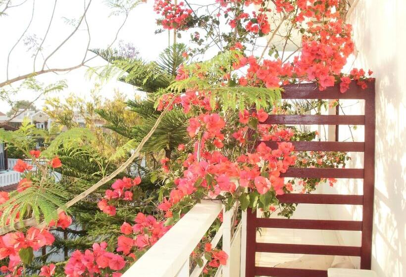 Agii Apostoli Studios