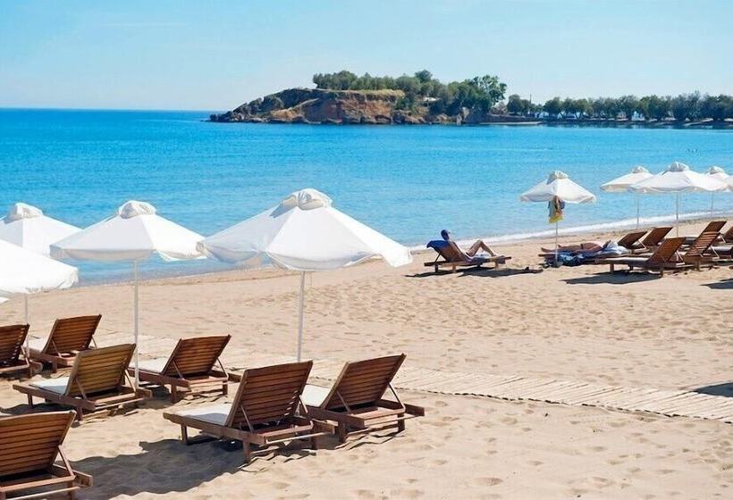 Agii Apostoli Studios