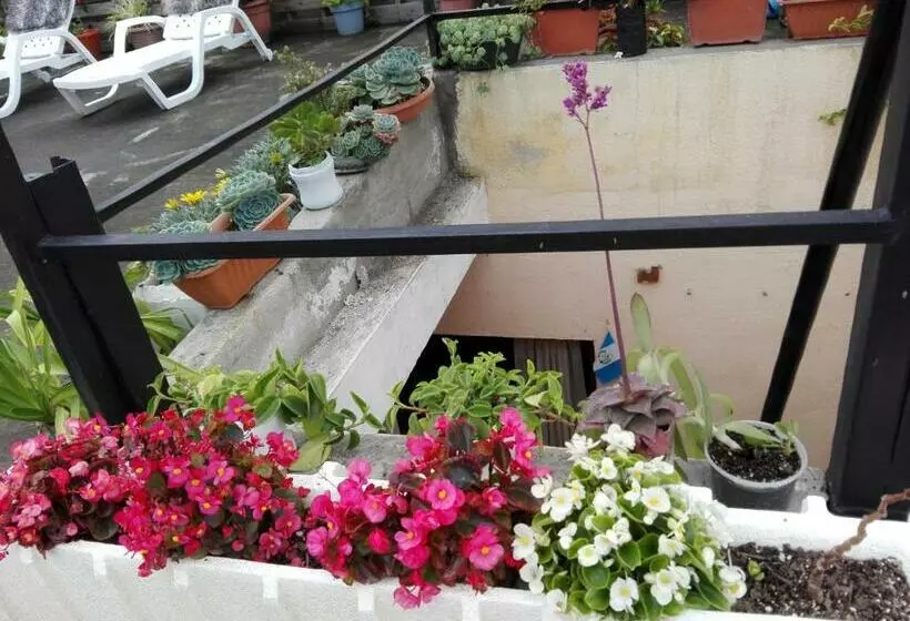 تختخواب و صبحانه Casa De Leon