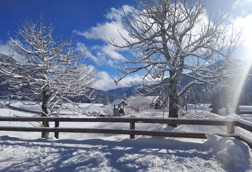 Hotelli Almhof Lässer