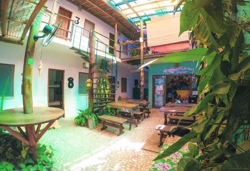 Hôtel Buddy S Hostel Itacaré