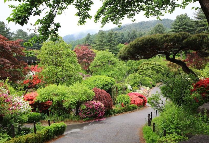 ホテル Oikos Leisure Pension