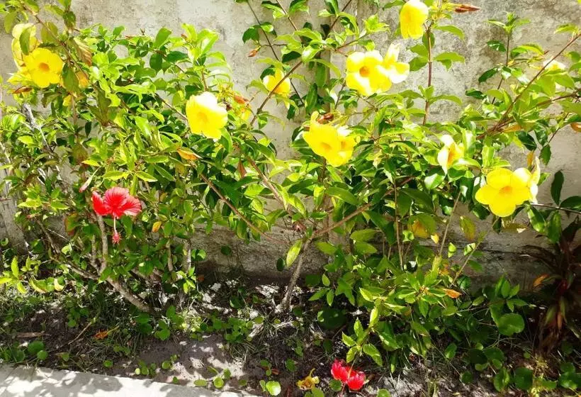 ホテル Pousada Canto Da Ilha