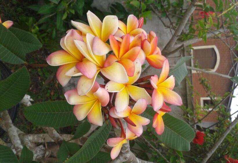 Hotel Pousada Canto Da Ilha