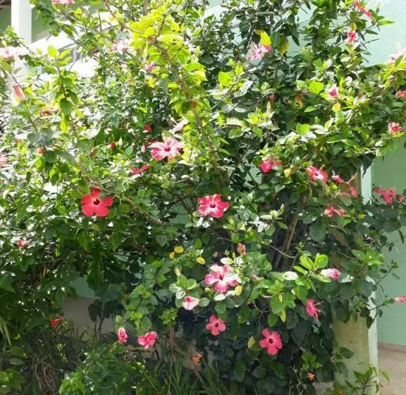 ホテル Pousada Canto Da Ilha