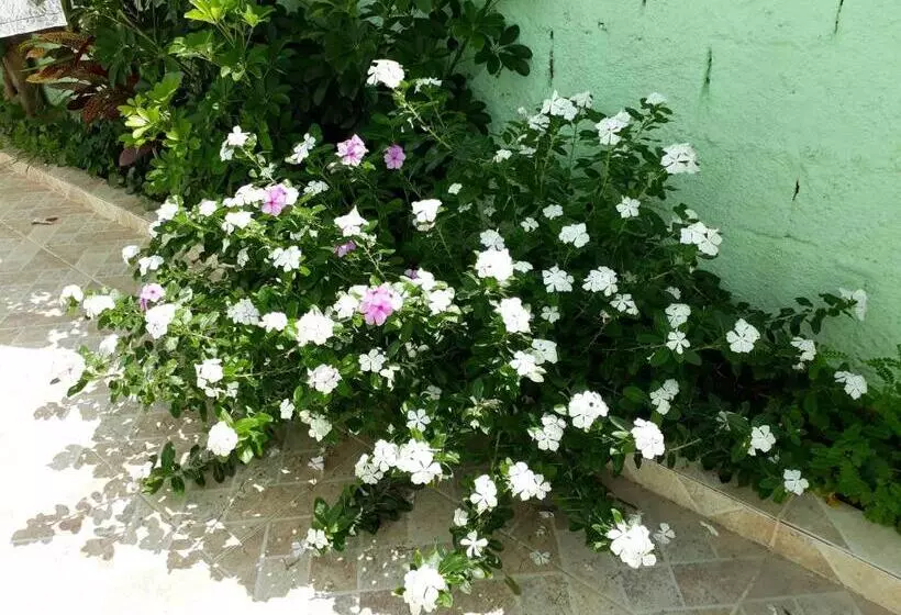 ホテル Pousada Canto Da Ilha