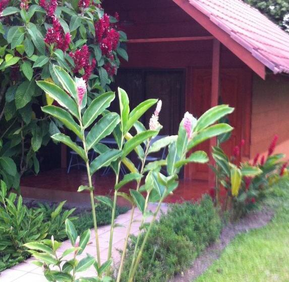 בית מלון כפרי Villas Vista Arenal