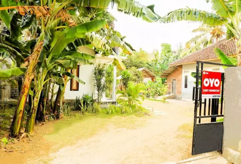 Zury Homestay   Hostel