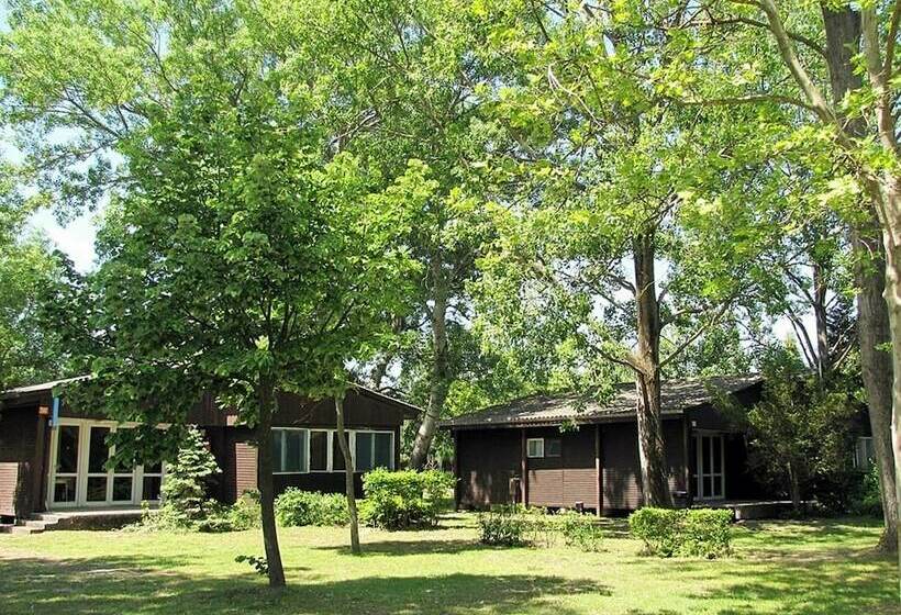 Отель Balatontourist Vadvirág Kemping