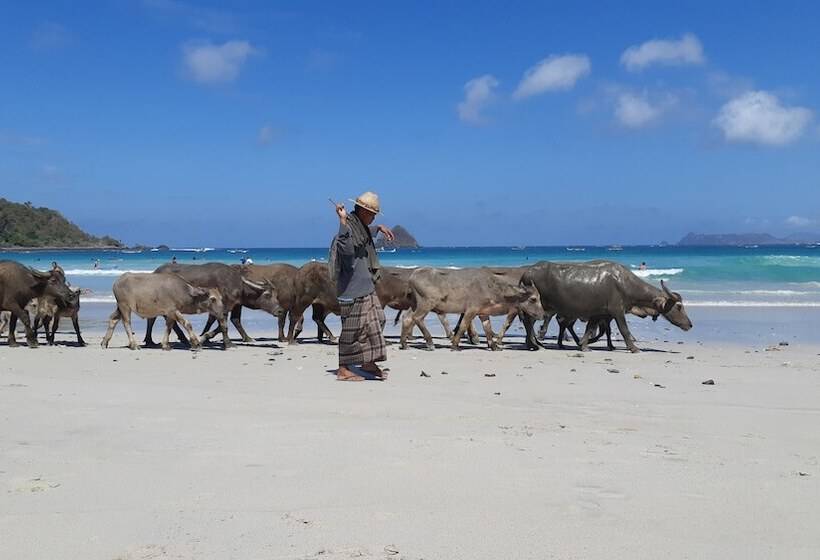 فندق Harmony Villas Lombok