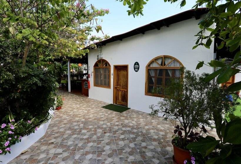 The Galapagos Pearl B&b