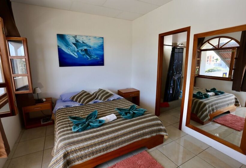 The Galapagos Pearl B&b