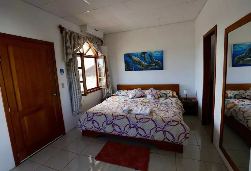 The Galapagos Pearl B&b