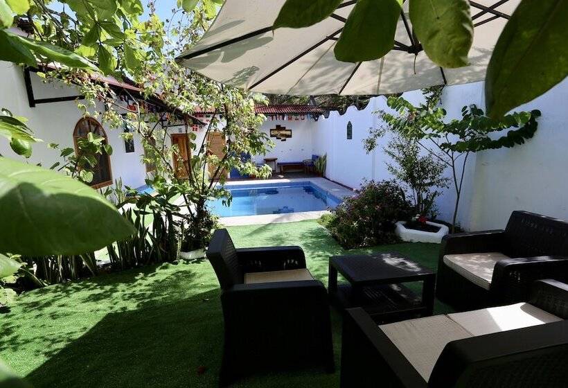 The Galapagos Pearl B&b