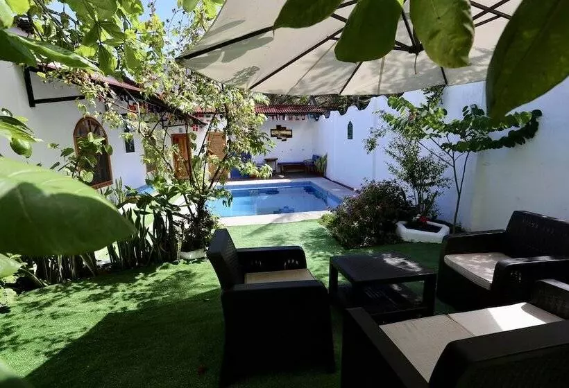 The Galapagos Pearl B&b