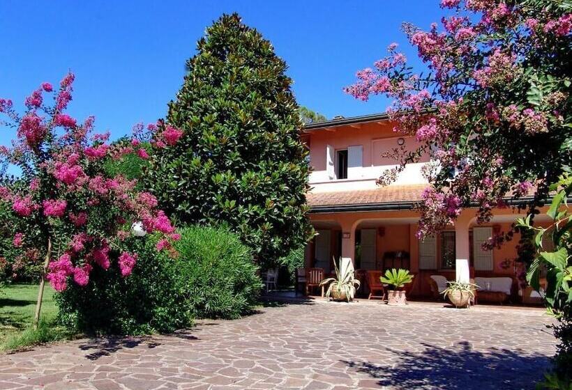 مبيت وإفطار Il Casale