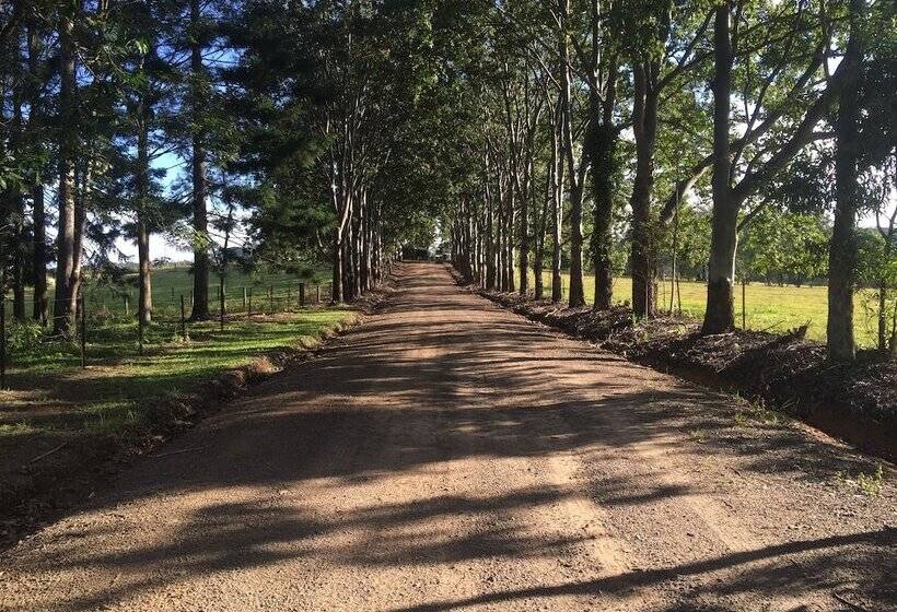 Blackwattle Farm B&b And Farm Stay