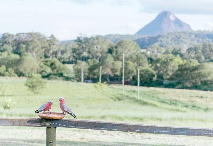 Blackwattle Farm B&b And Farm Stay