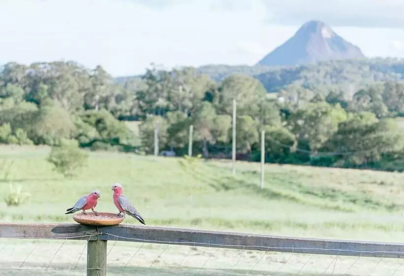 Blackwattle Farm B&b And Farm Stay