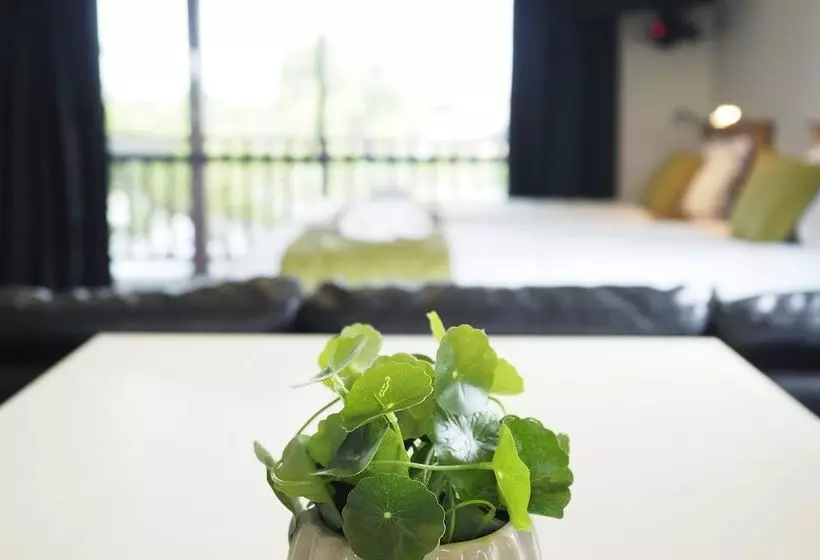 Haast River Motels & Holiday Park