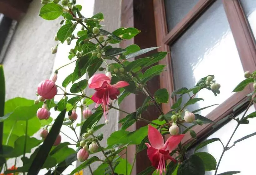 レジデンス Casa Grande