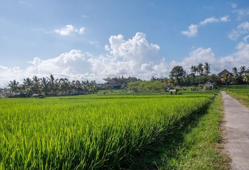 ユースホステル Villa Sari By Oyo Rooms