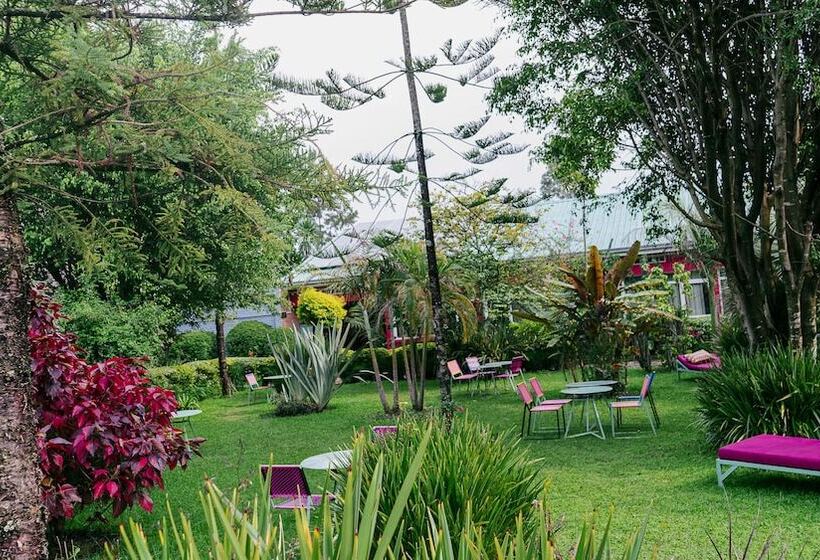 تختخواب و صبحانه Isange Paradise Resort