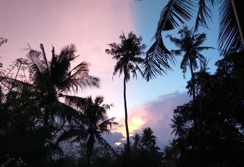 تختخواب و صبحانه The Mandana Villa Gili Air