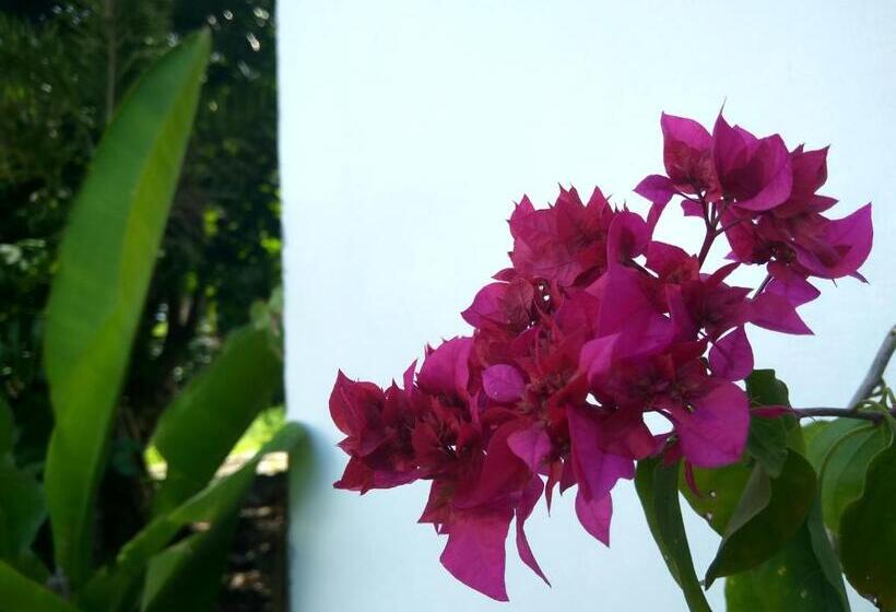 تختخواب و صبحانه The Mandana Villa Gili Air