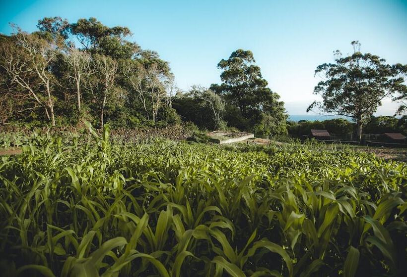 בית מלון כפרי Make It Happen Farm