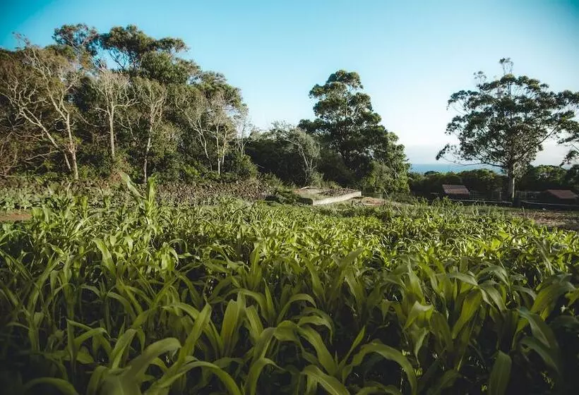 田舎風ホテル Make It Happen Farm