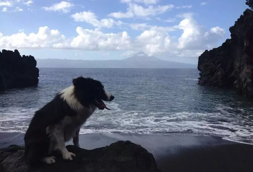 田舎風ホテル Make It Happen Farm
