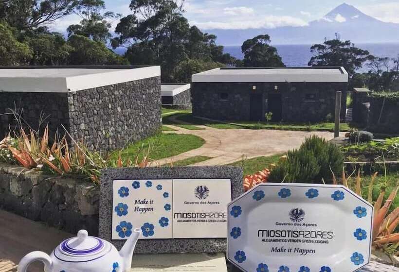 فندق ريفى Make It Happen Farm