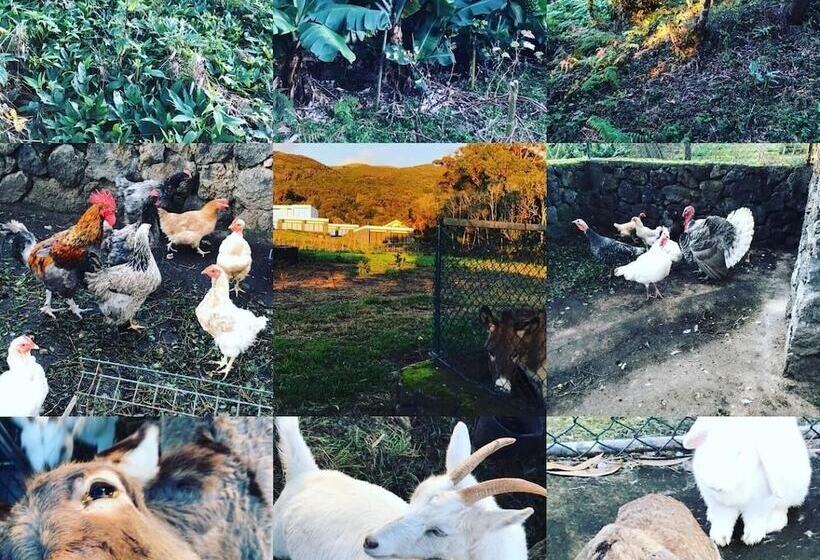 בית מלון כפרי Make It Happen Farm