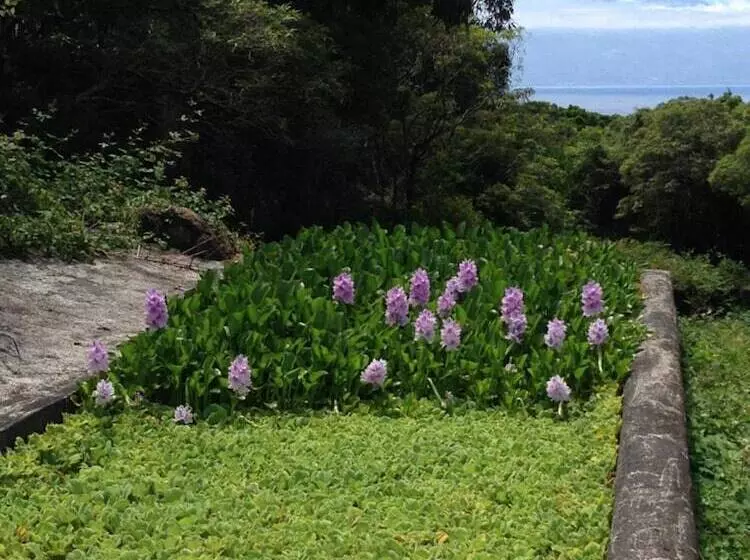 田舎風ホテル Make It Happen Farm