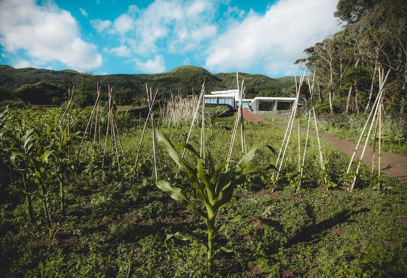 فندق ريفى Make It Happen Farm