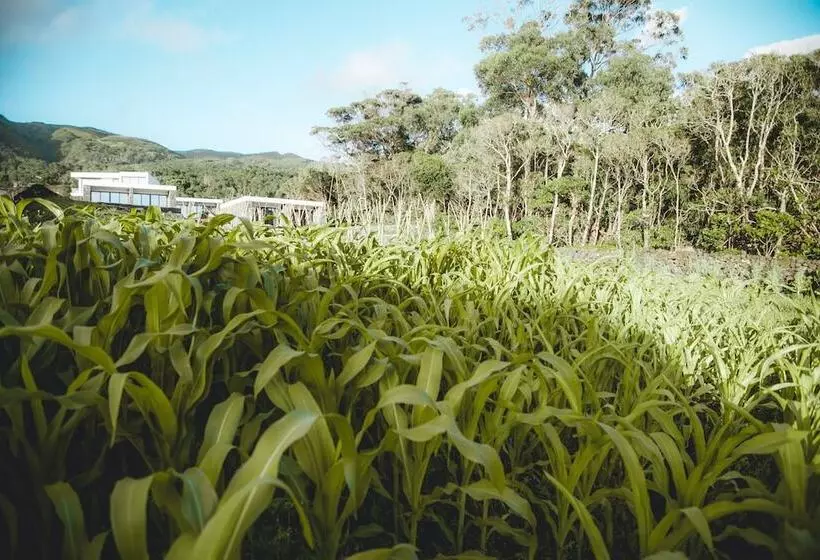 田舎風ホテル Make It Happen Farm