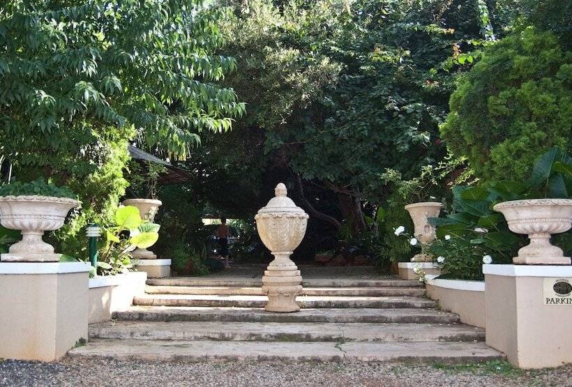 Pension Brooklyn Guesthouses