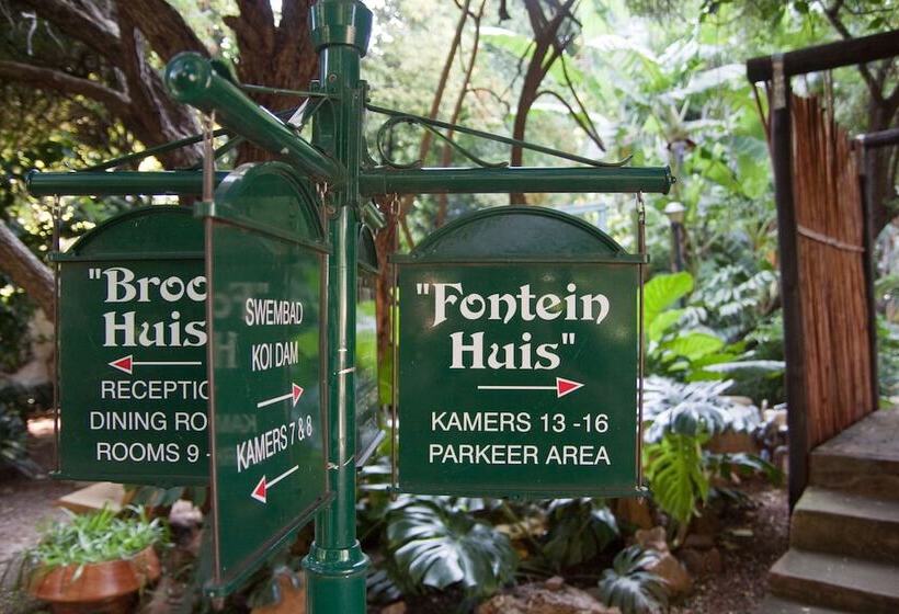 Pension Brooklyn Guesthouses